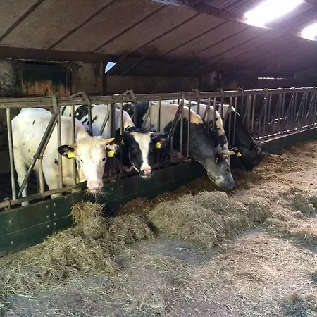 De Laarhoeve 酒店 Waalre