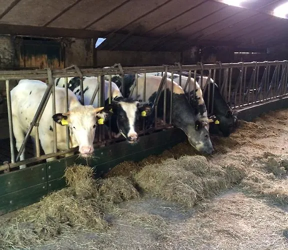 De Laarhoeve Hotel Waalre